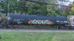 TILX 305182